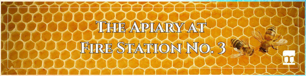 sustainability apiary fire station morrisville north carolina
