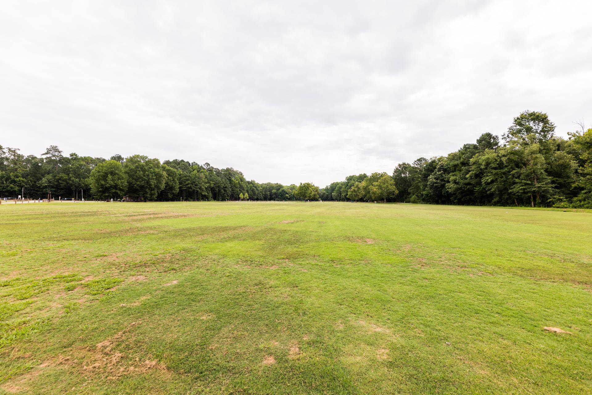 Cedar Fork District Park July 2023 photo by Keenan Hairston-9884