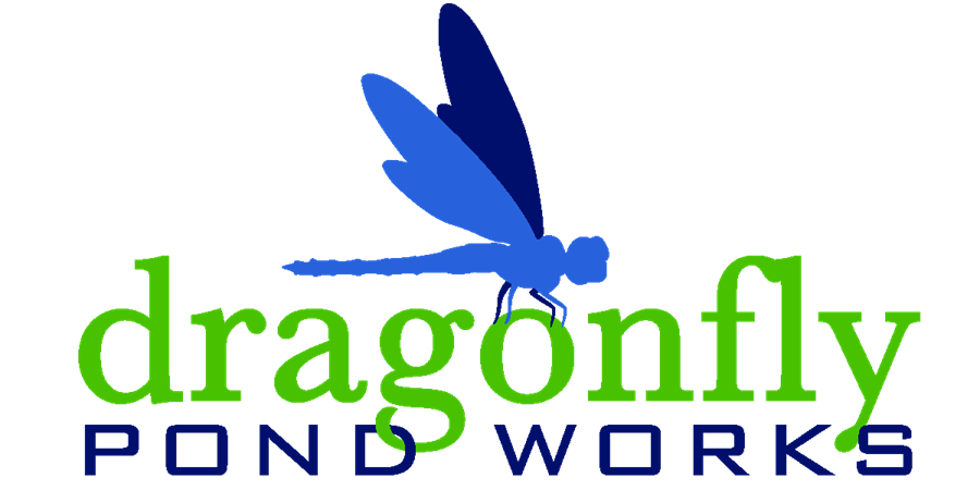 Dragonfly Pond Works Logo