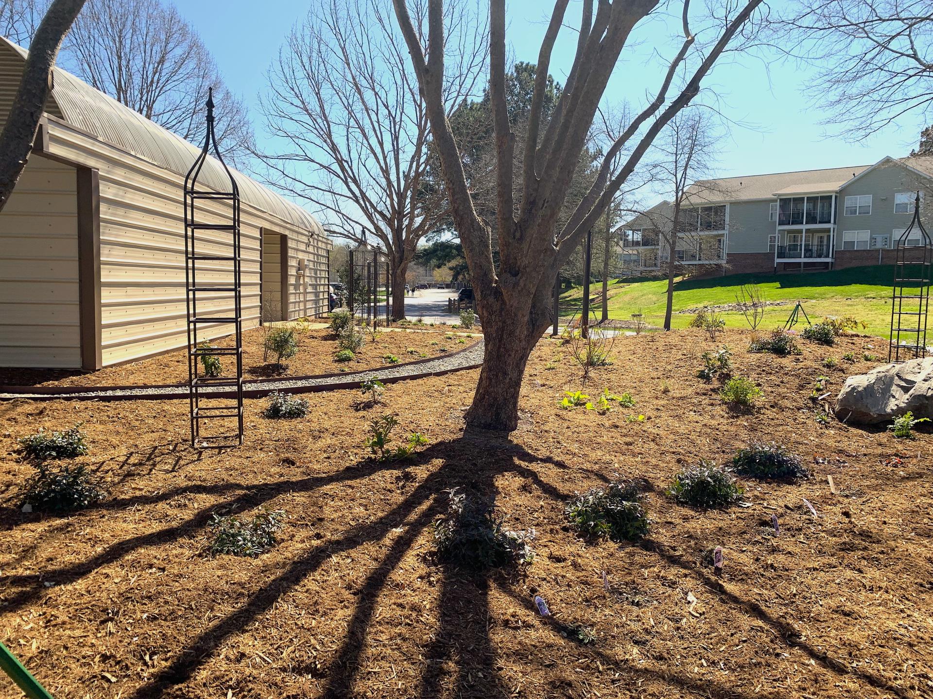 mCP native bed