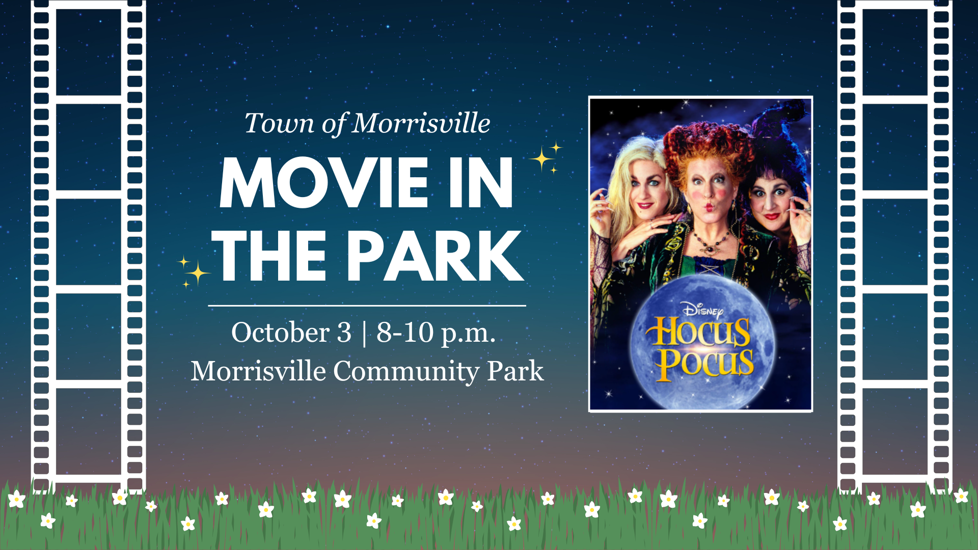 Image of Movie in the Park Banner