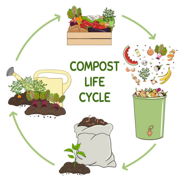 Compost Life Cycle